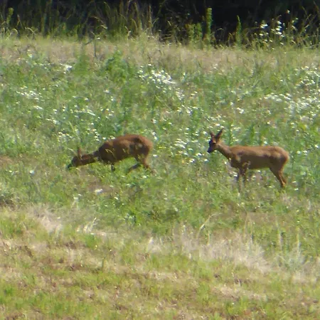 Prázdninový dům Lou Fredou Saint-Amand-de-Coly